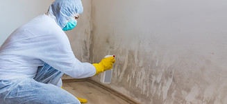 iStock-1224200980.jpg