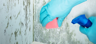 iStock-853793294.jpg